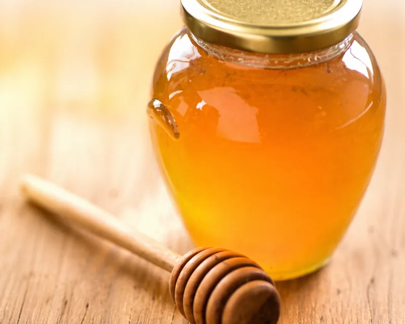 Degustazione miele di marasca presidio Slow Food GO Makers Gorizia