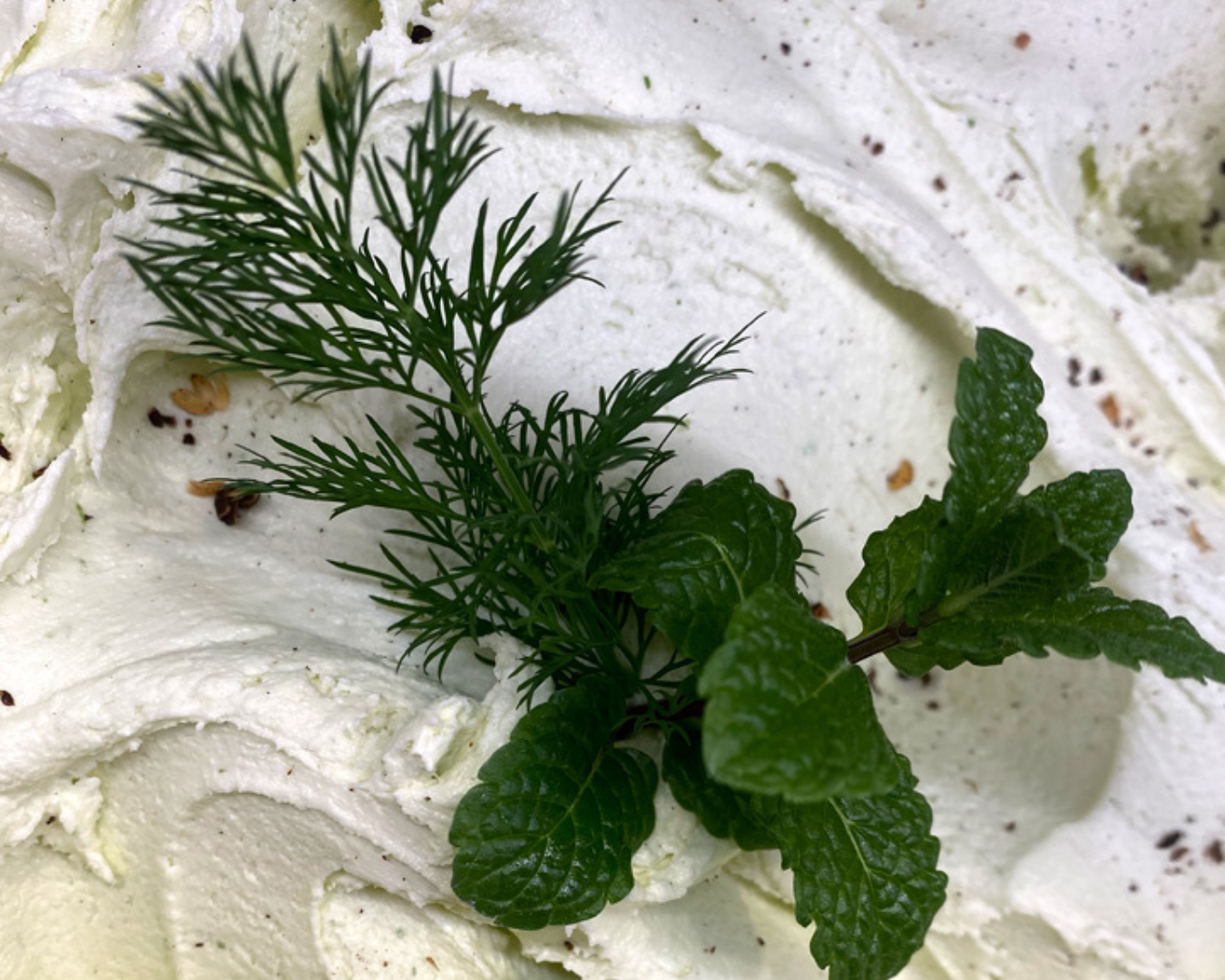 Fiore di Latte – food artigiano a GO Makers Gorizia