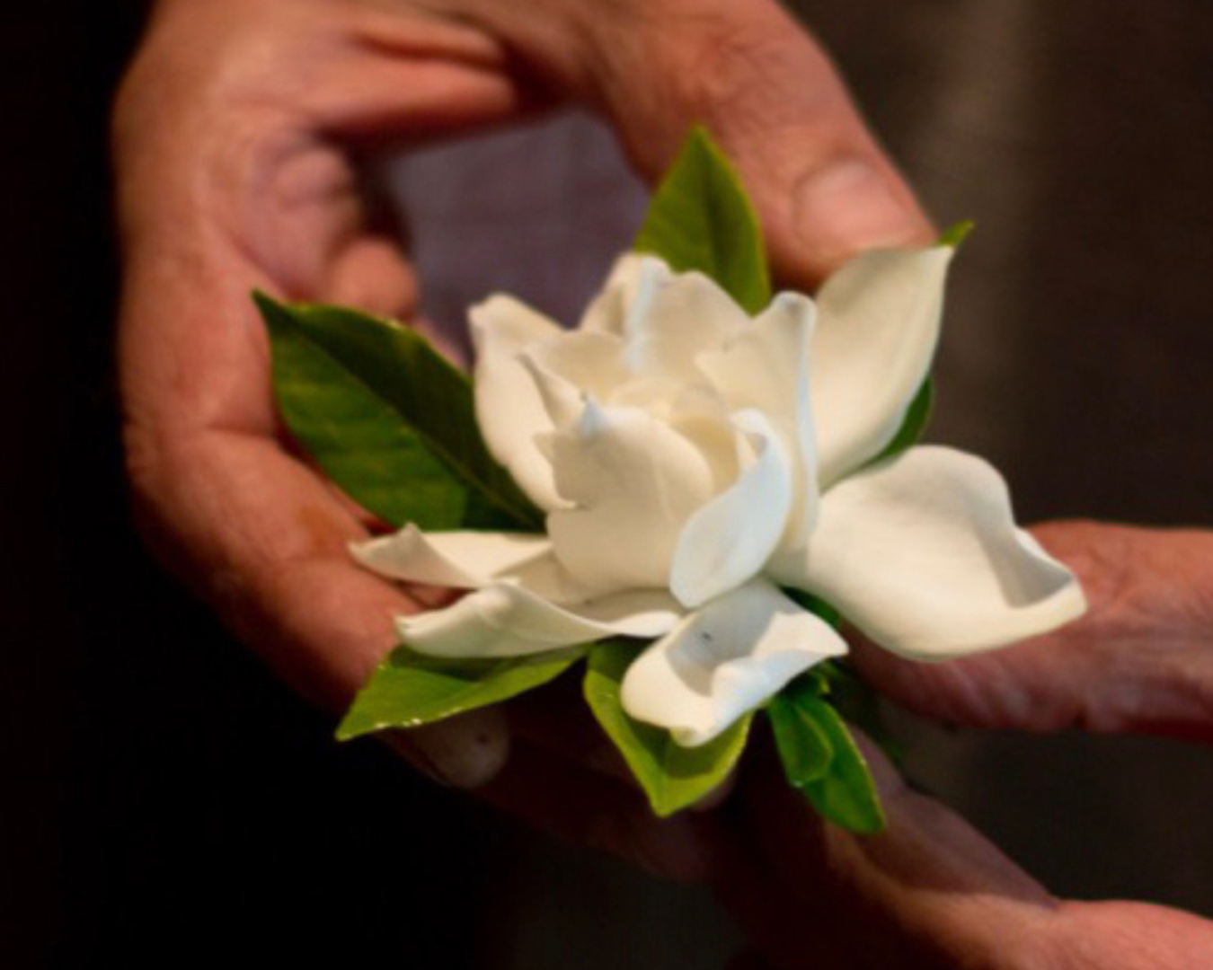 Romantico di Gianfranco Fontanel – floral-designer artigiano a GO Makers Gorizia